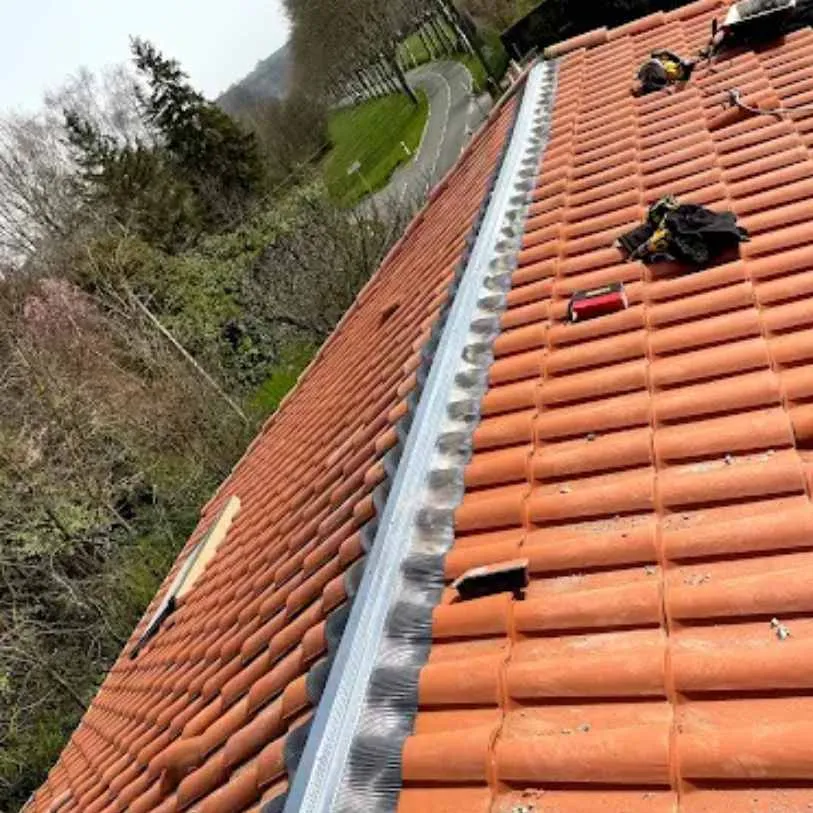 Remplacement d'une couverture en tuiles à Albi